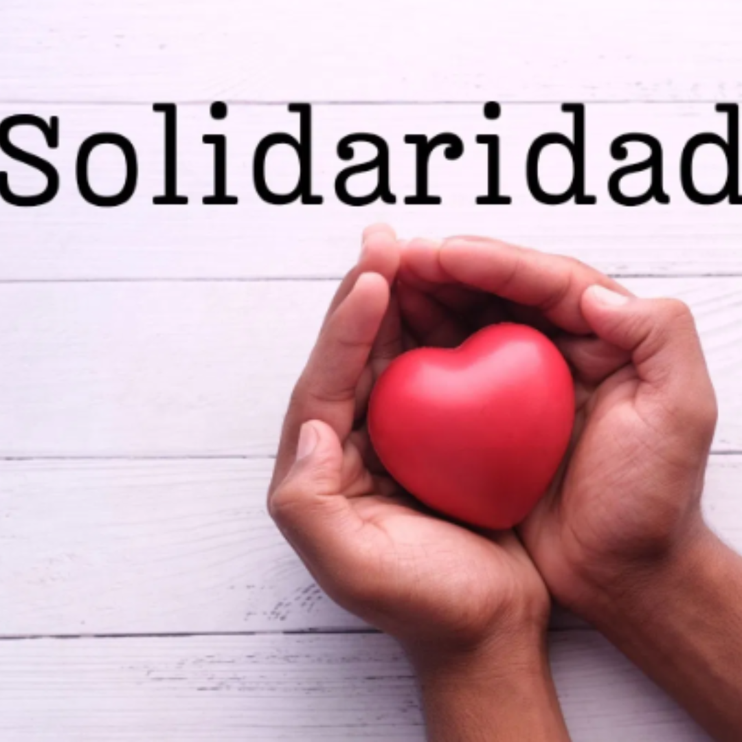 Artículos Solidarios